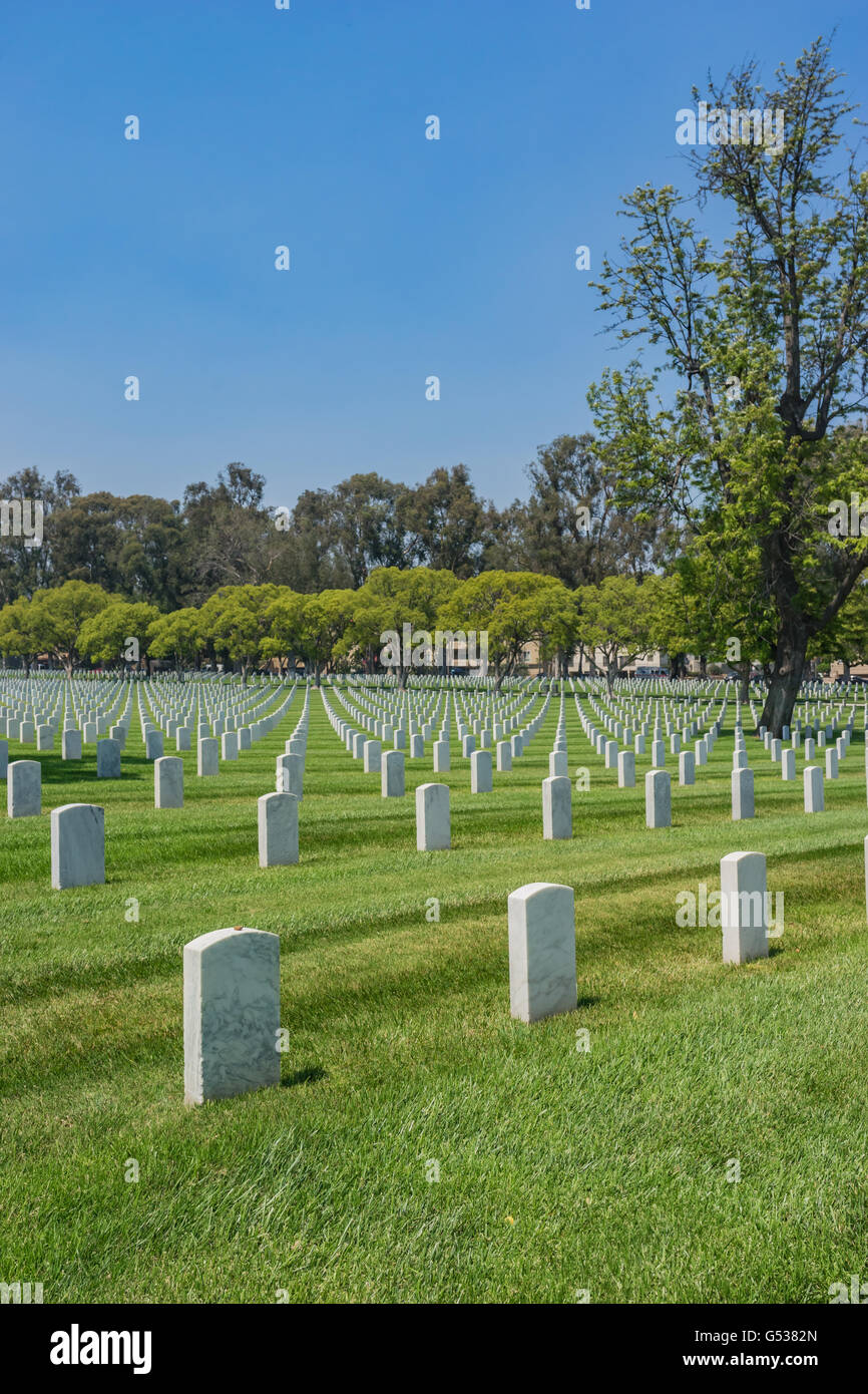 Empty military cemetery in Los Angeles of southern California. Stock Photo