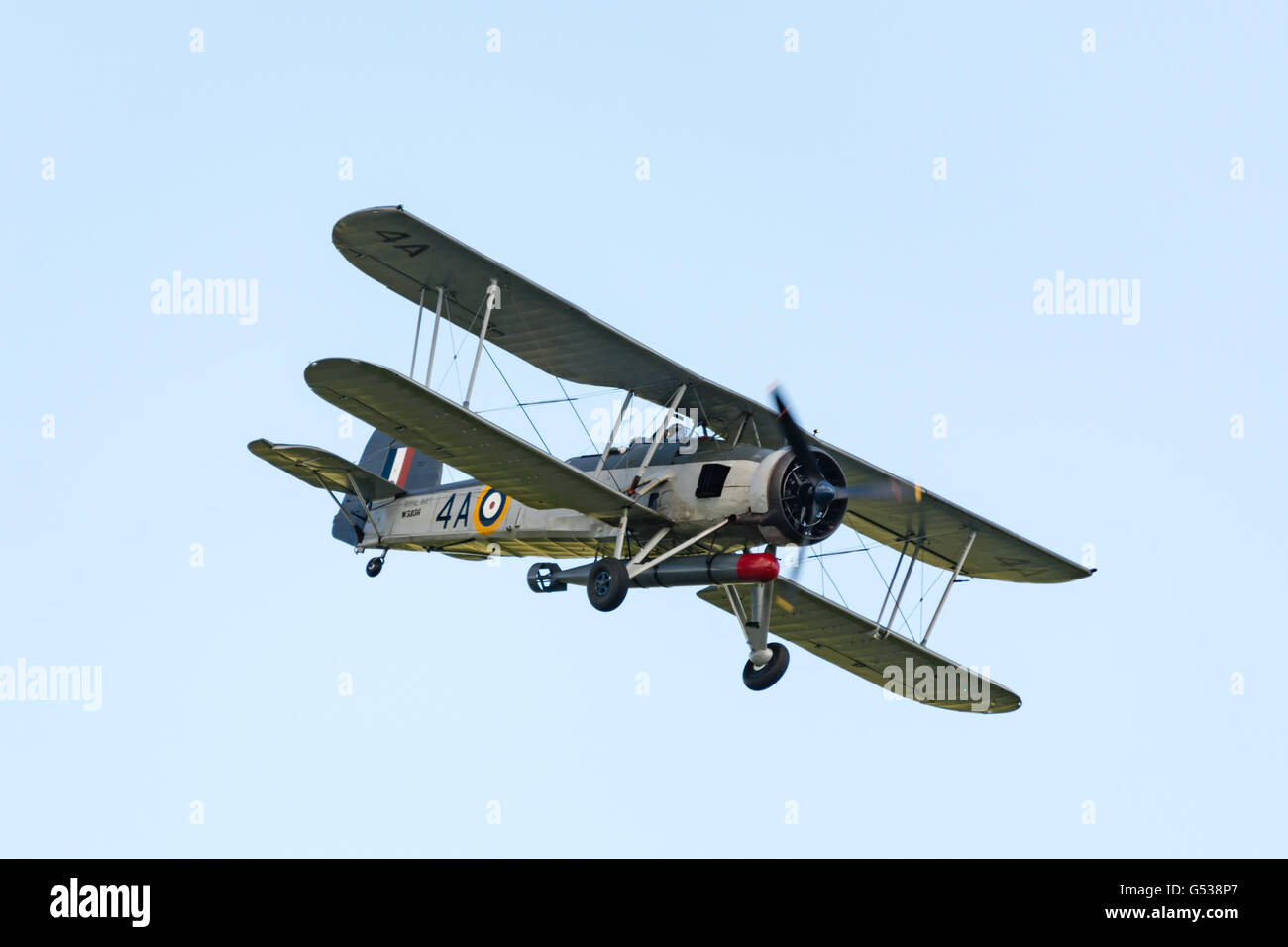 United Kingdom, Scotland, East Lothian, North Berwick, Swordfish at the