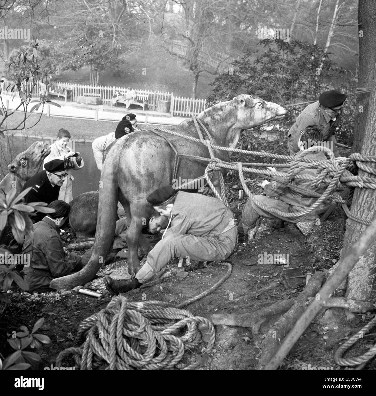 Civil defence volunteers Black and White Stock Photos & Images - Alamy