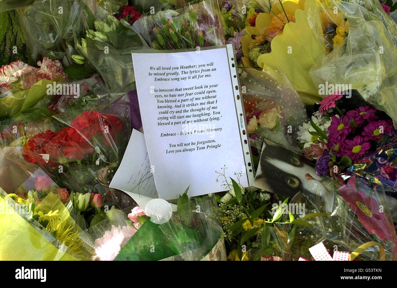 Flowers and tributes at the scene where the body of 17-year-old Heather Tell was discovered in bushes off a footpath leading to the A5 in Kettlebrook Linear Park, Tamworth, Staffordshire. * Detectives are continuing their hunt for the killer of the teenager whose body was found yards from the spot where she was due to meet a friend. Heather, who was studying for a BTec in performing arts at Sutton College in Sutton Coldfield, West Midlands, lived with her father, Peter, a self-employed printer, and 18-year-old sister in Lowforce, Stonydelph, Tamworth. Stock Photo