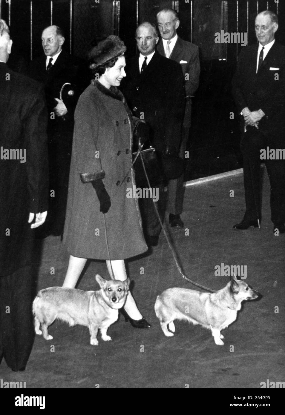 *Scanned low-res off print, high res available on request* Queen Elizabeth II, with two corgis, at Liverpool Street Station on her return to London after her Sandringham holiday. Stock Photo