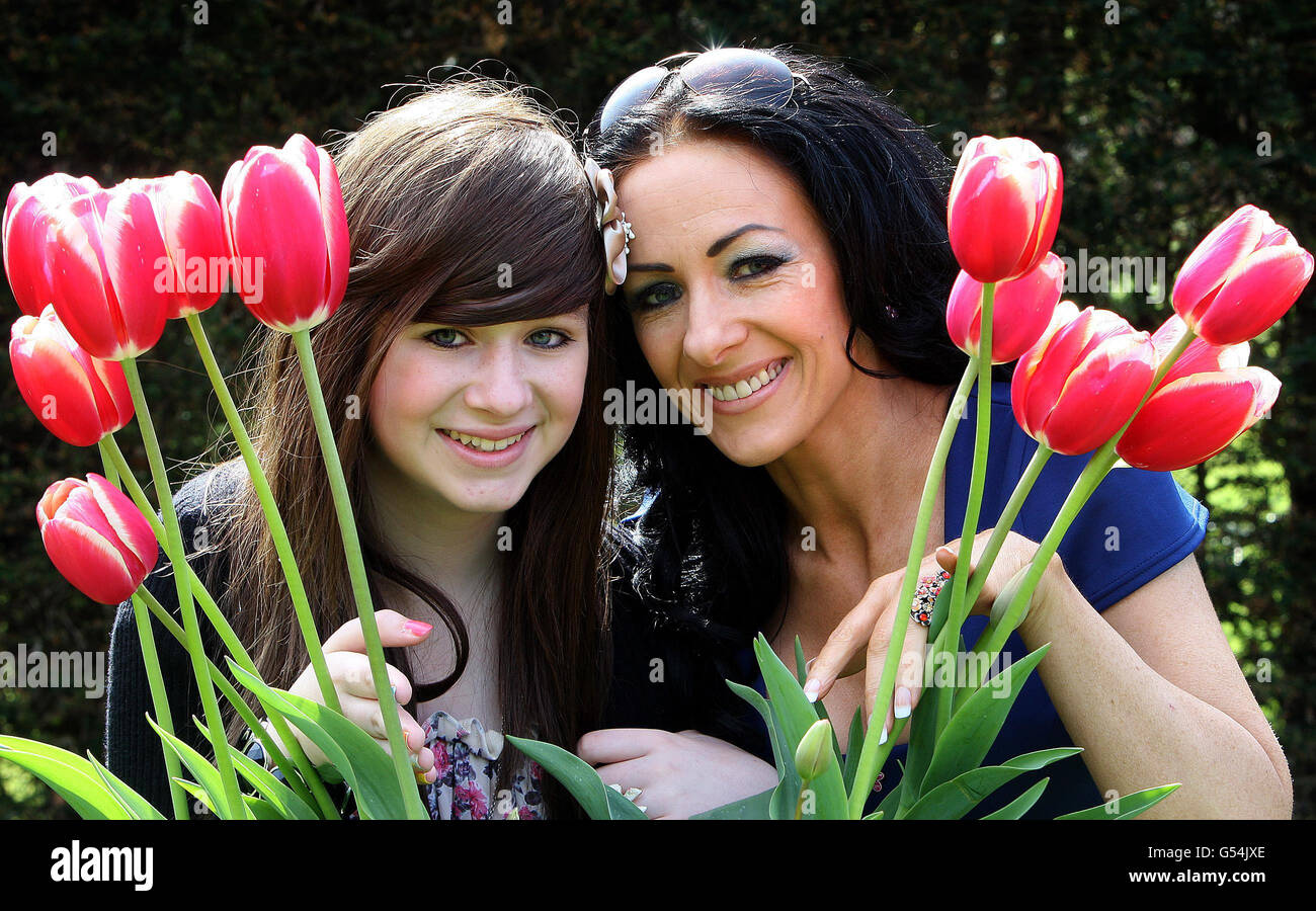 Glenarm Estate Walled Garden Tulip Festival Stock Photo Alamy