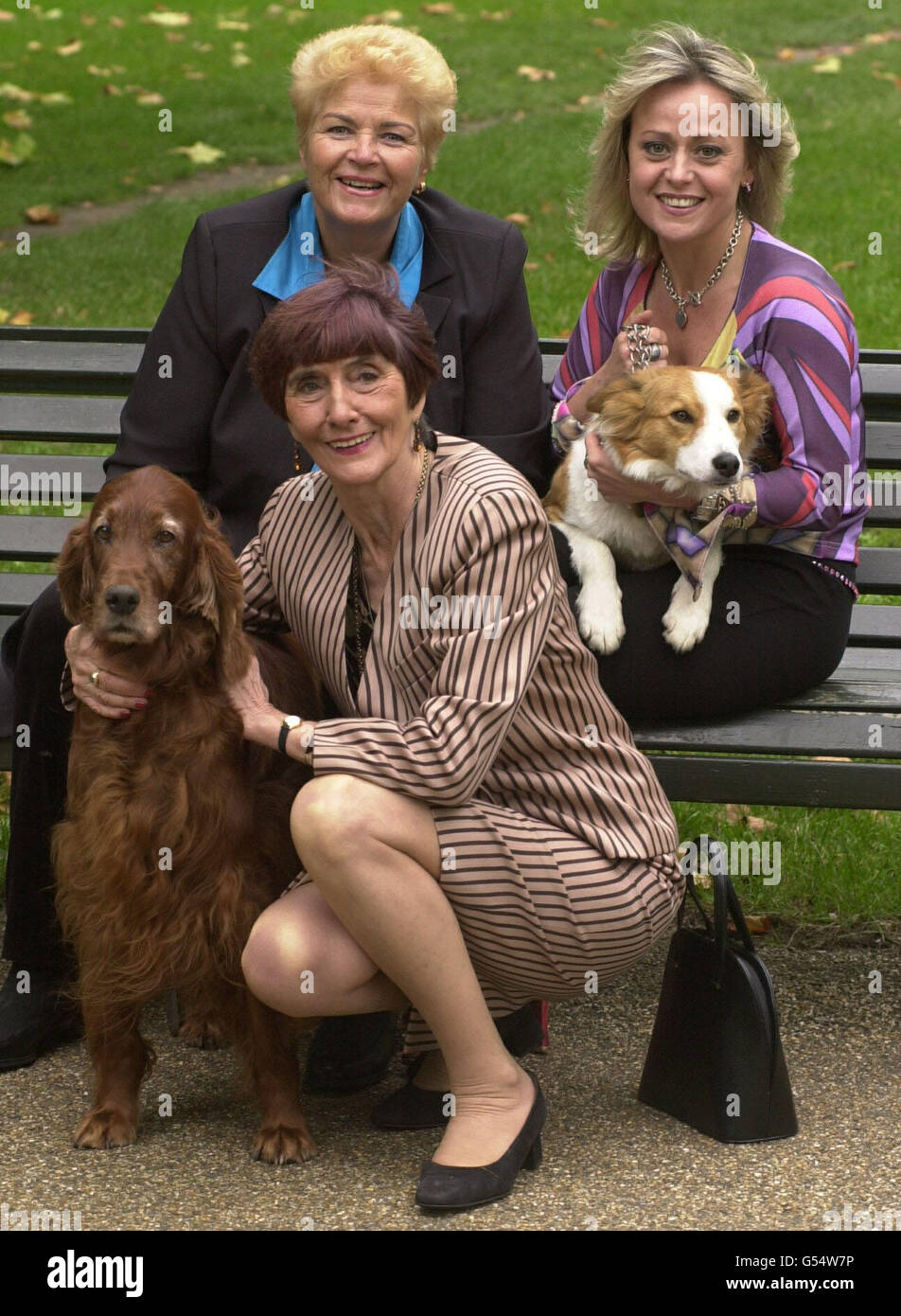 L r actors pam st clement hires stock photography and images Alamy