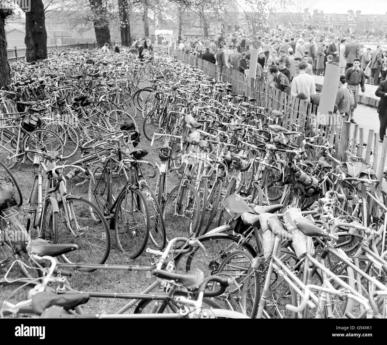 Cycling Southern Counties Cycling Union International Cycle Racing