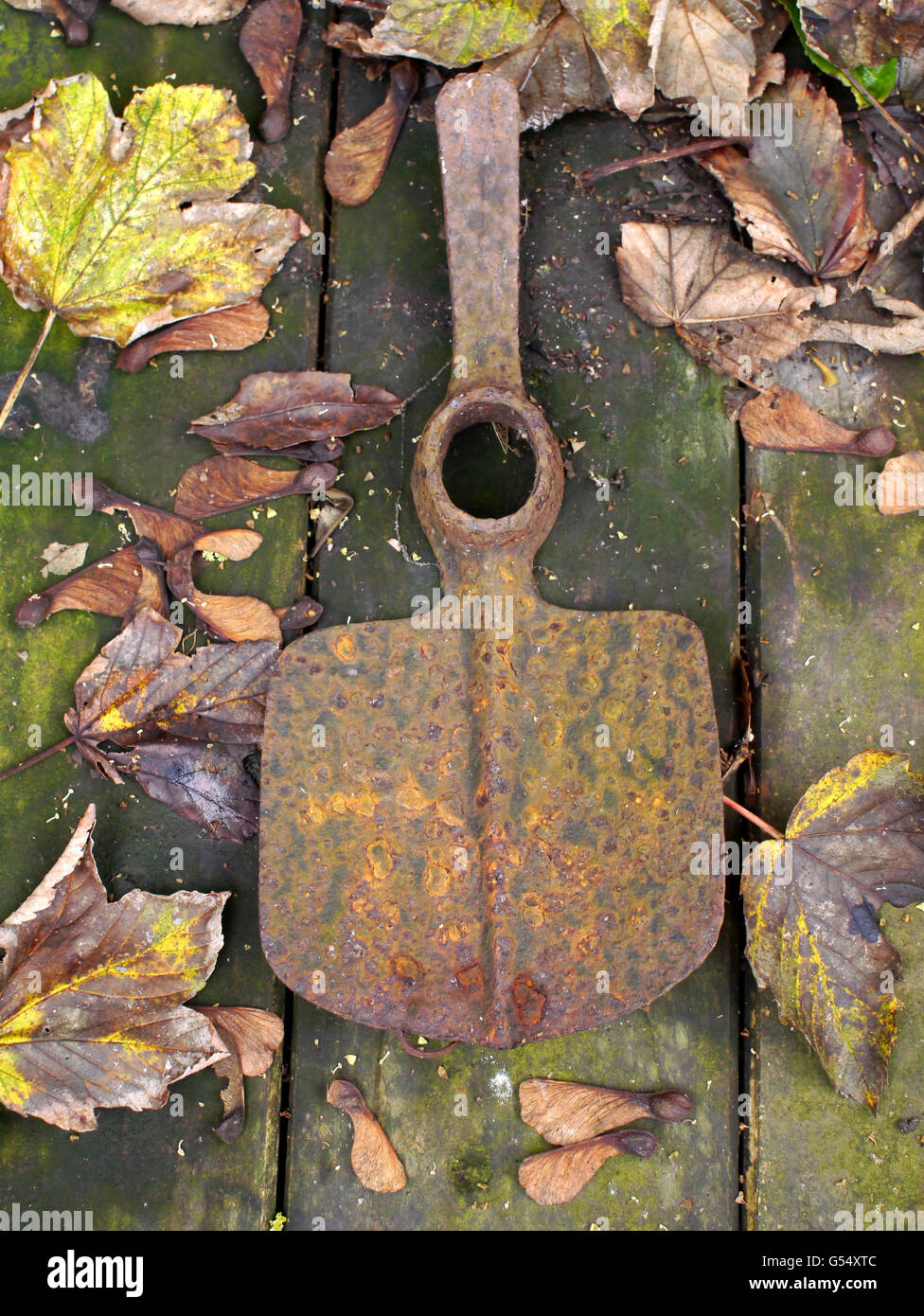 old garden tool on decking with autumn leaves Stock Photo