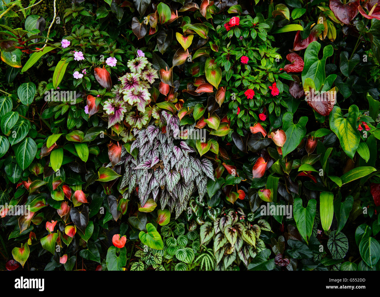 Colorful flower bed hi-res stock photography and images - Alamy