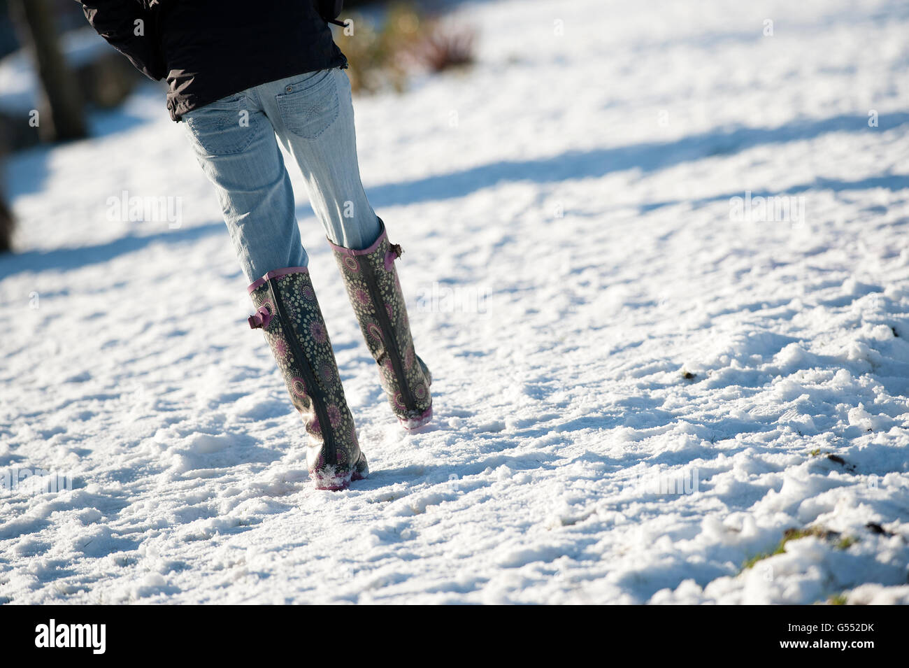 close up of winter scene, wellington boots and legs of lady wearing jeansBoots Stock Photo