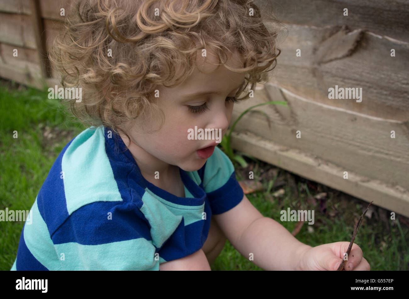 Toddler Boy With Curly Hair Exploring In The Garden Stock Photo