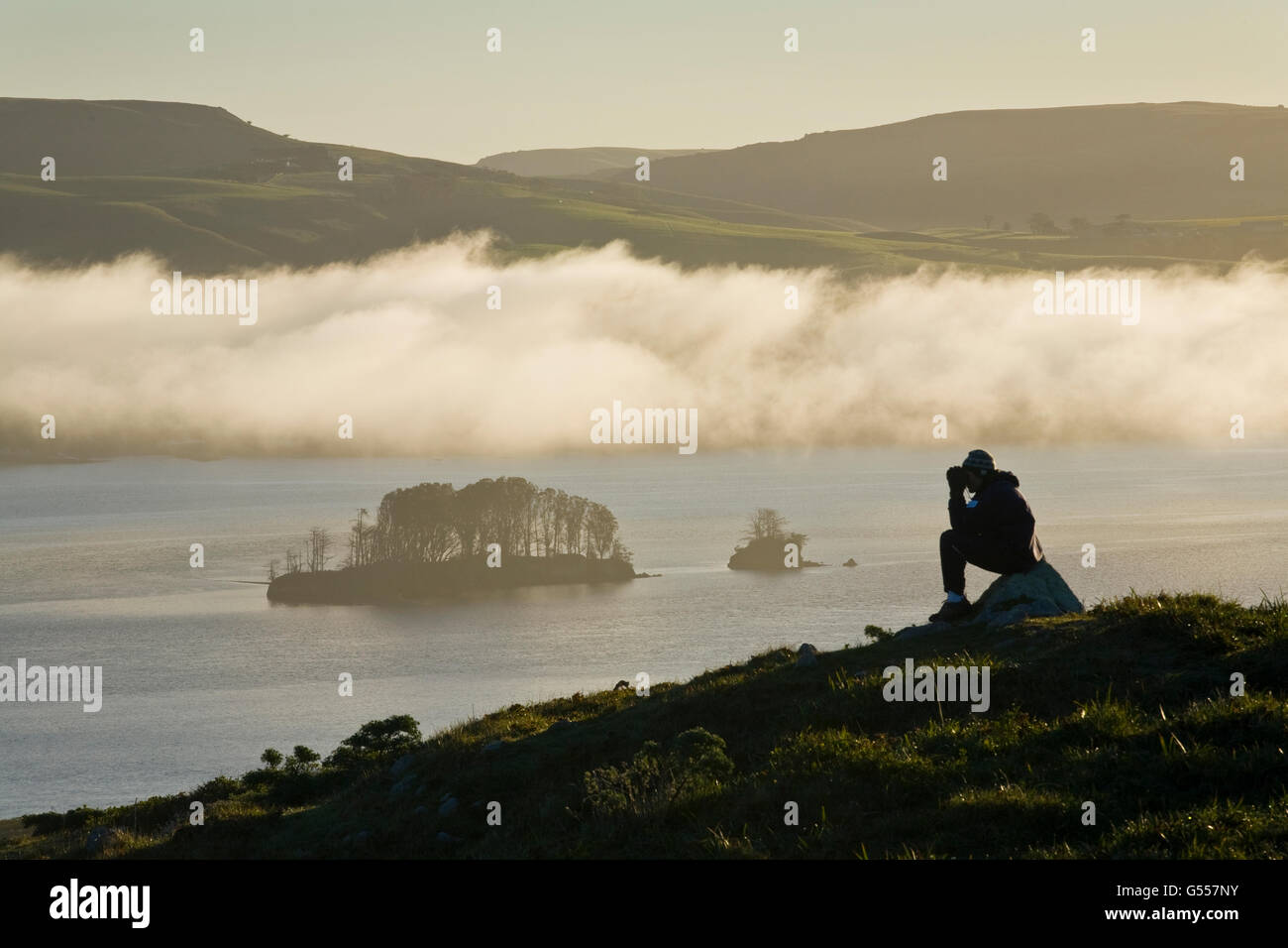 Point Reyes National Seashore, Marin County, California, USA, hiker taking photo on Tomales Point, overlooking Tomales Bay, Stock Photo