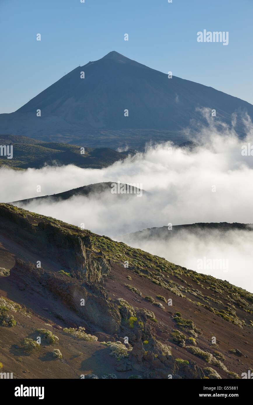 Volcanic slopes with a sea of cloud rising and Mount Teide in the background, Teide National Park, Tenerife. Stock Photo