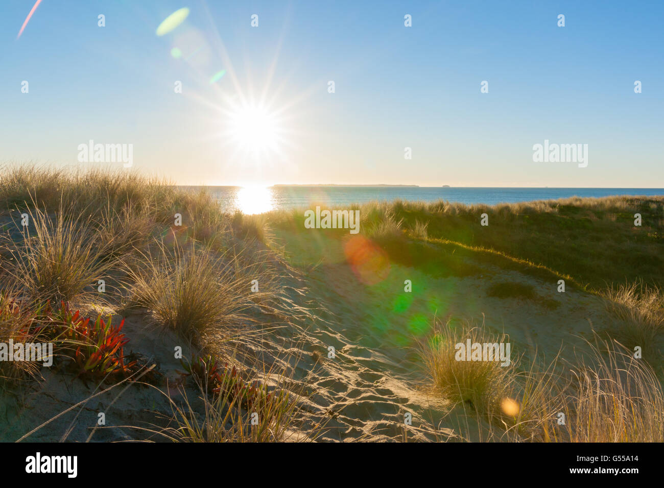 Lens flare created as sun bursts over sea and sand dune at Papamoa beach Stock Photo