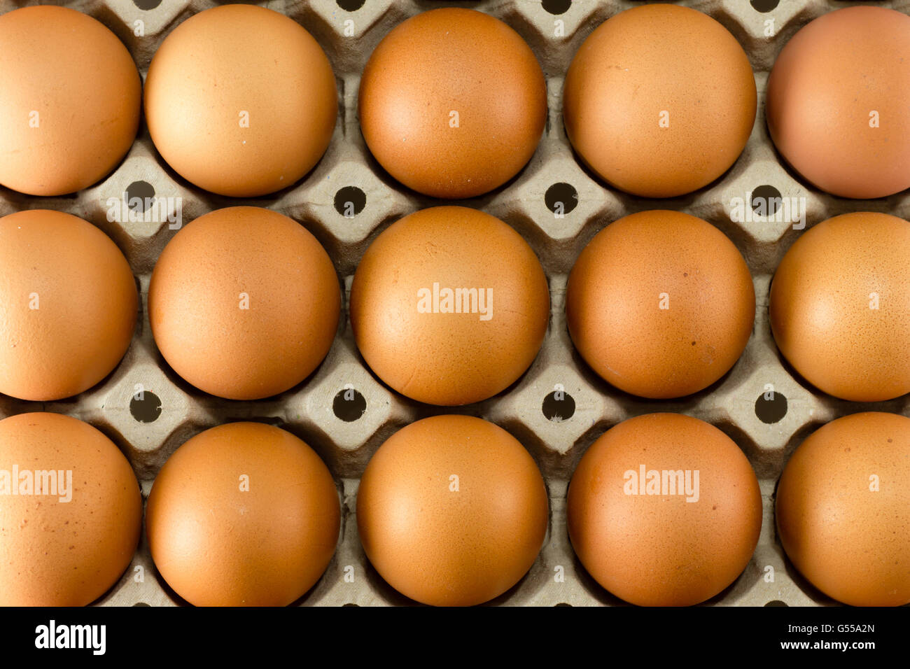 Closeup of many fresh brown eggs in carton tray Stock Photo