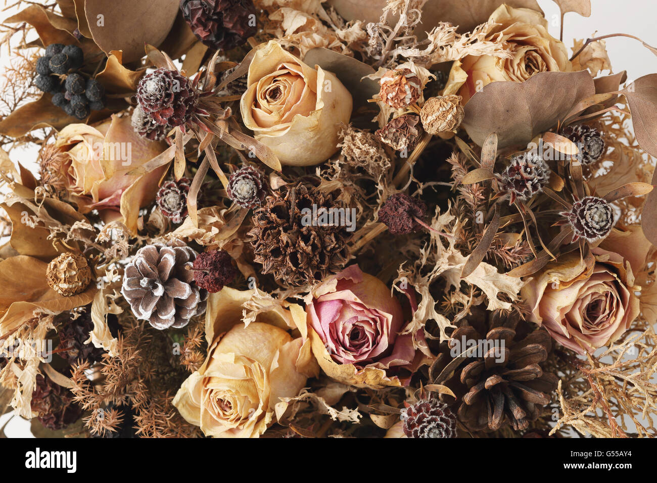 Dried flowers Stock Photo