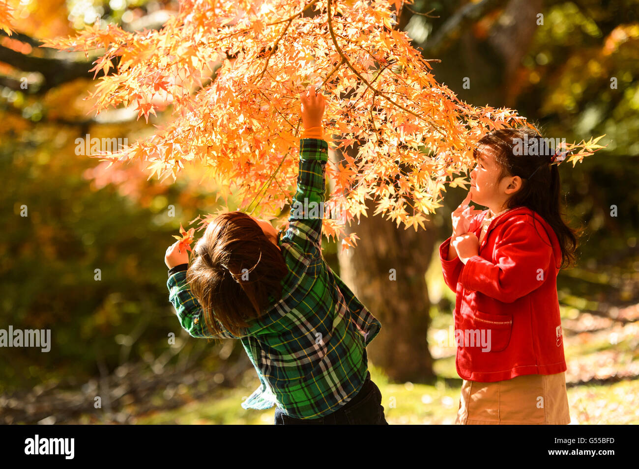 Kids playing in a park Stock Photo - Alamy