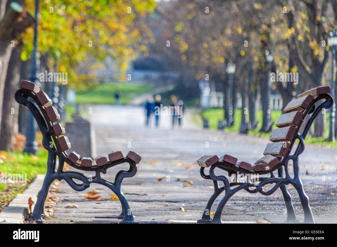 Empty benches in the park Stock Photo - Alamy