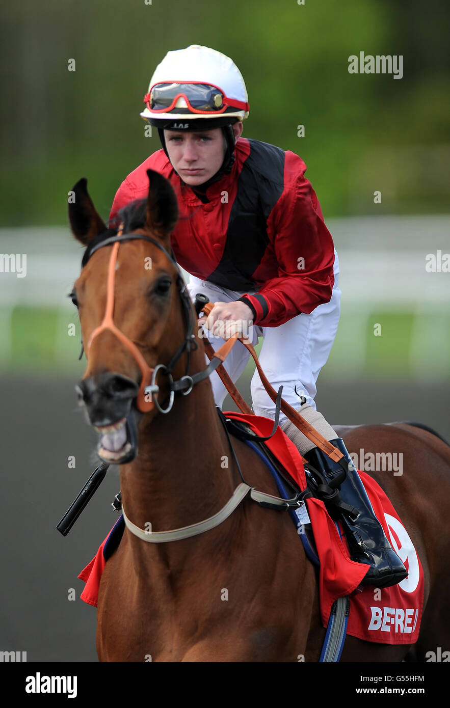 Best Terms ridden by jockey Kieran O'Neill goes to post in the Betfred Mobile Chartwell Fillies' Stakes Stock Photo