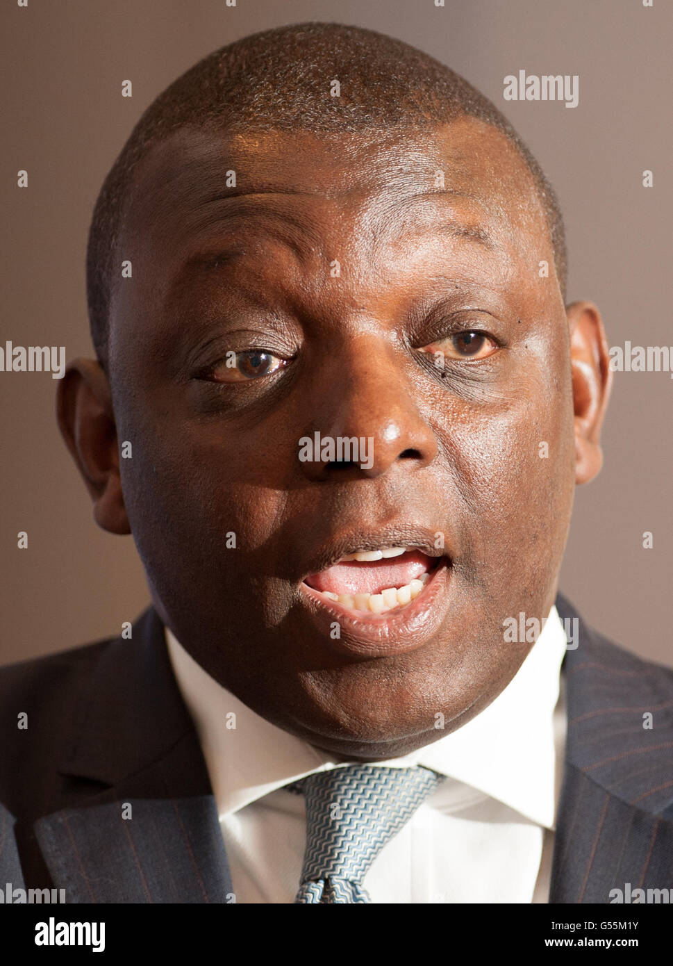 Garth Crooks speaks at the European Synthetic Turf Organisation (ESTO) press briefing, in central London. Stock Photo