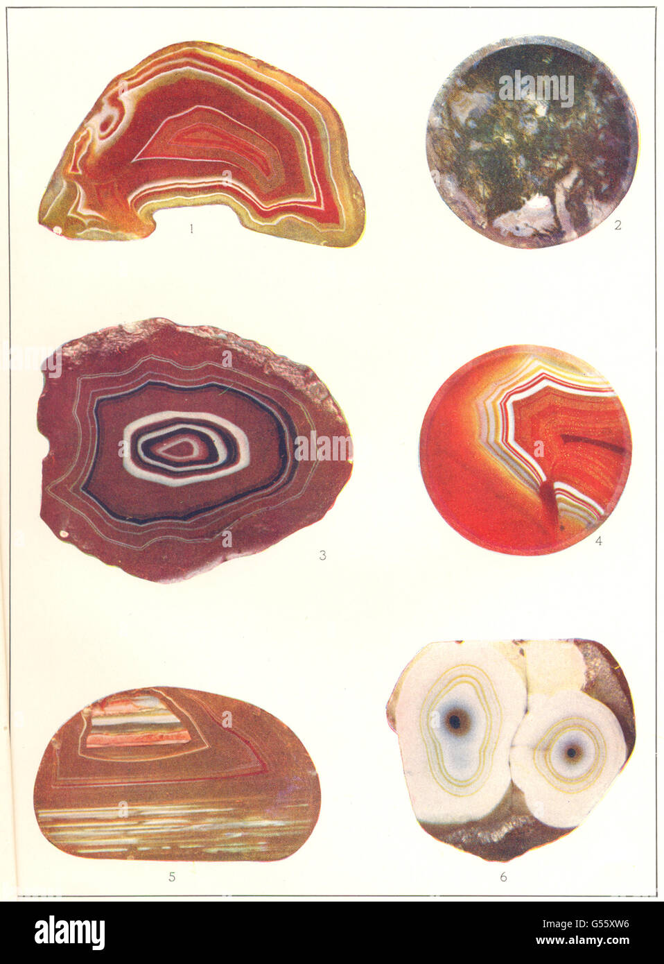 GEOLOGY: Agates; Carnelian Agate Sard; Onyx; Bull's eye; Moss, old print 1907 Stock Photo