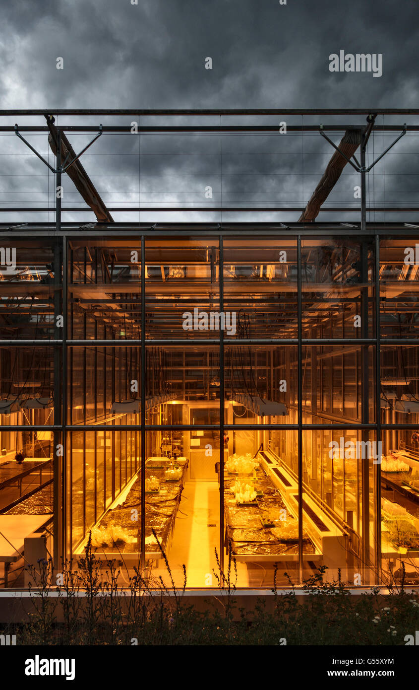 Research Greenhouses High Resolution Stock Photography and Images - Alamy