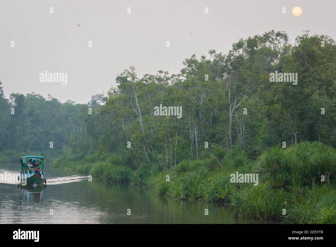Indonesia, Kalimantan, Borneo, Kotawaringin Barat, Tanjung