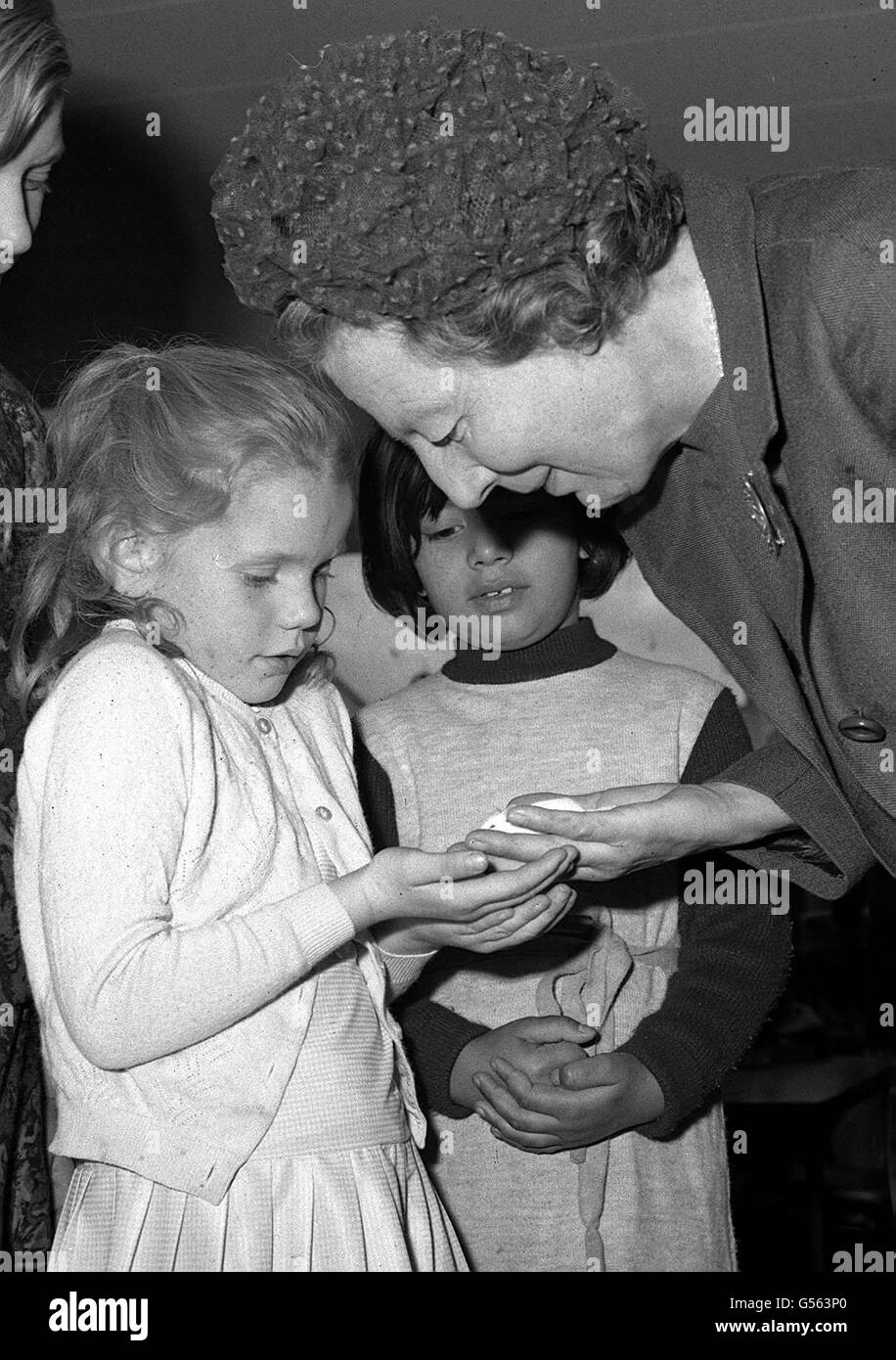Debbie Fontona, aged 6, shows Lady Plowden 'Mickey', the classroom hamster, after the formal opening of the new experimental buildings of the Vittoria primary school in Isligton, North London. Stock Photo