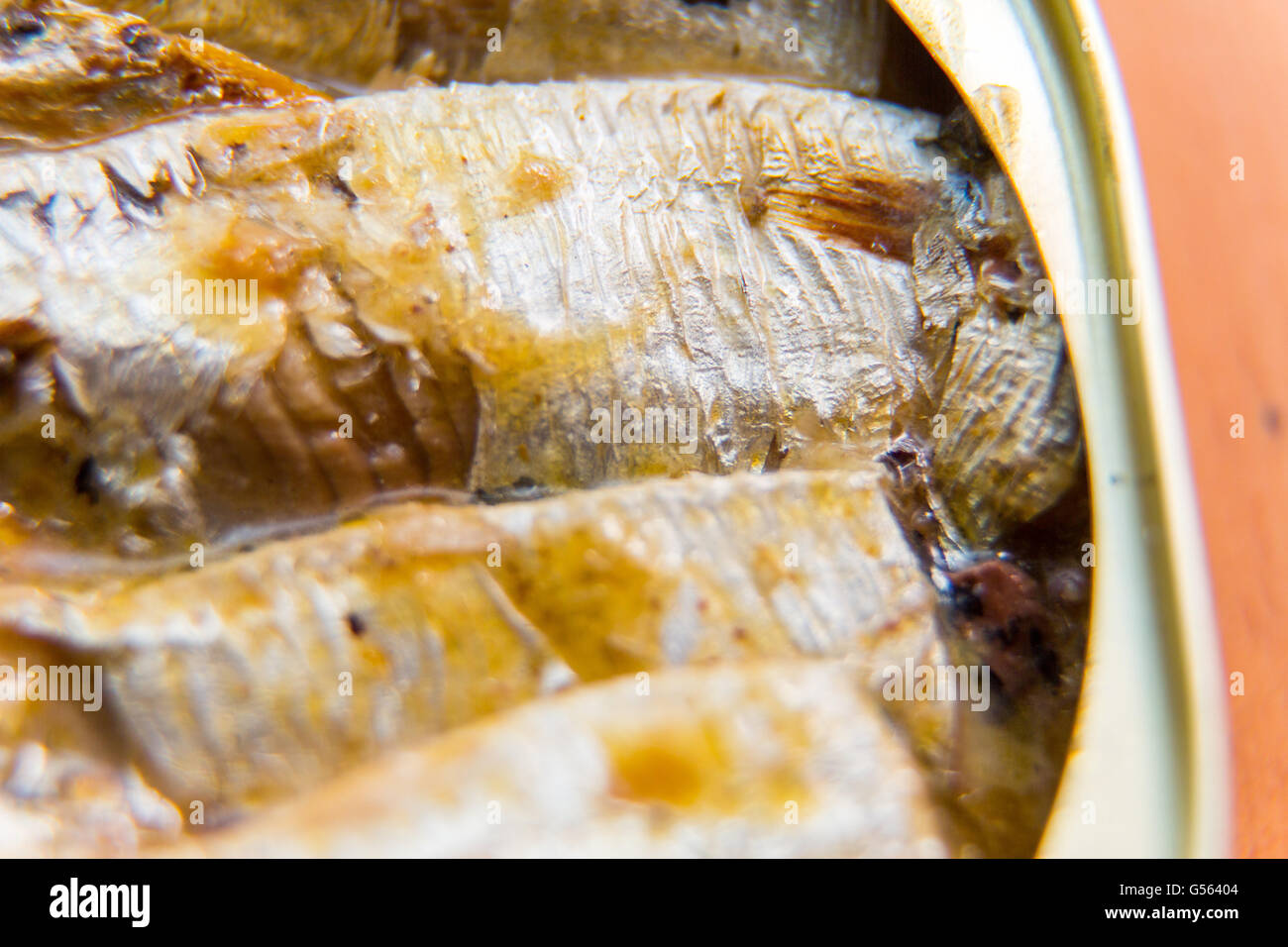 Tinned sardines in springwater Stock Photo Alamy