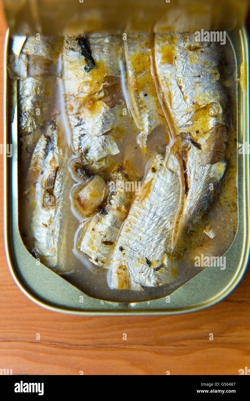 Tinned sardines in springwater Stock Photo Alamy