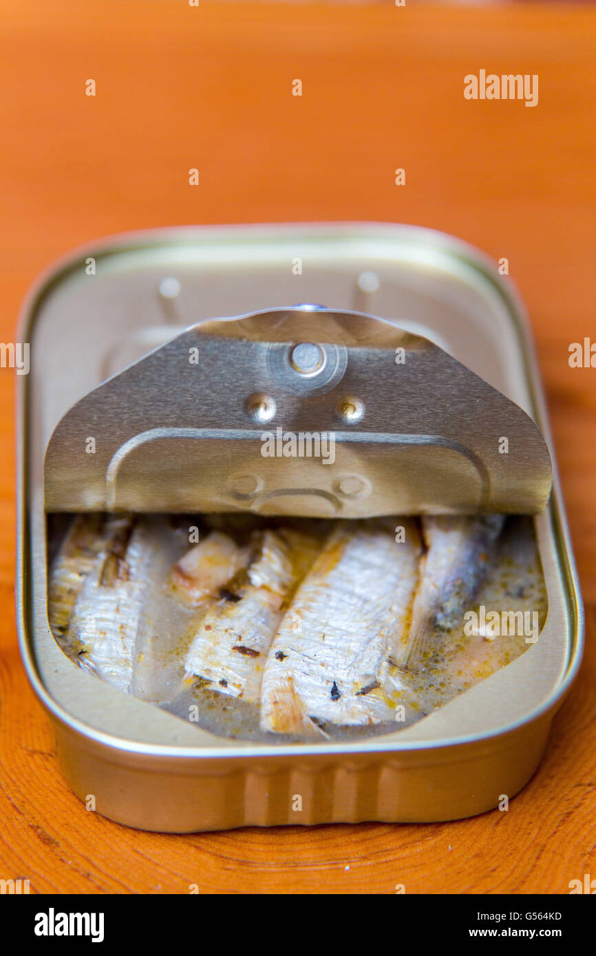 Tinned sardines in springwater Stock Photo Alamy