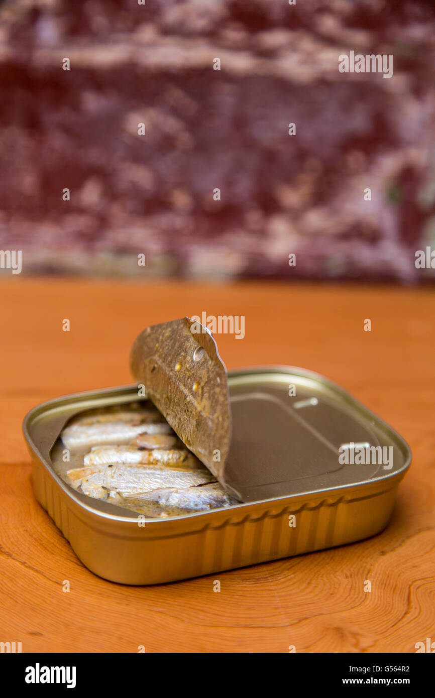 Tinned sardines in springwater Stock Photo Alamy