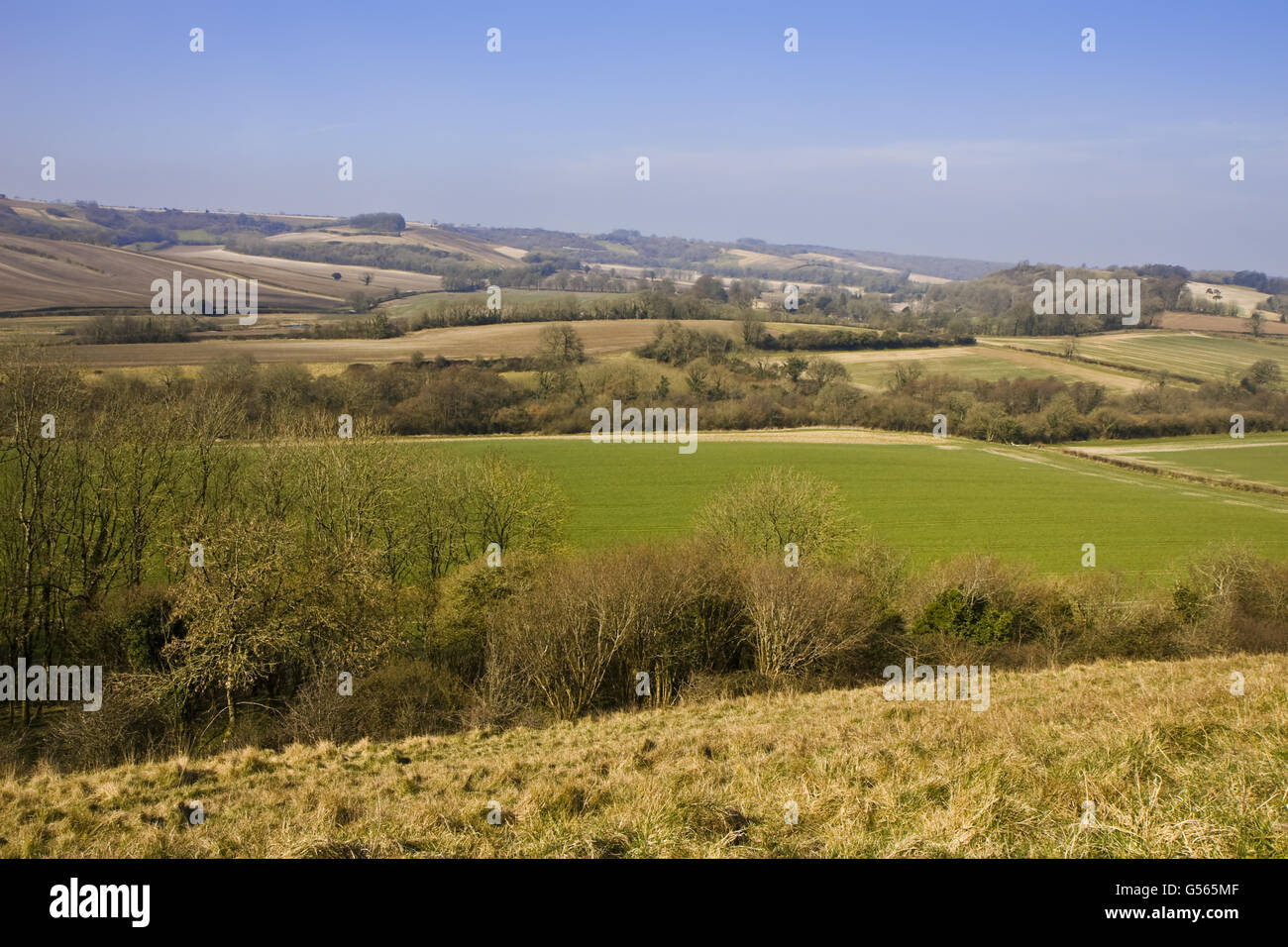 Landscape from chalk escarpment with hedges, woodland, fields and arable land, Cerne Valley, Dorset, England, March Stock Photo