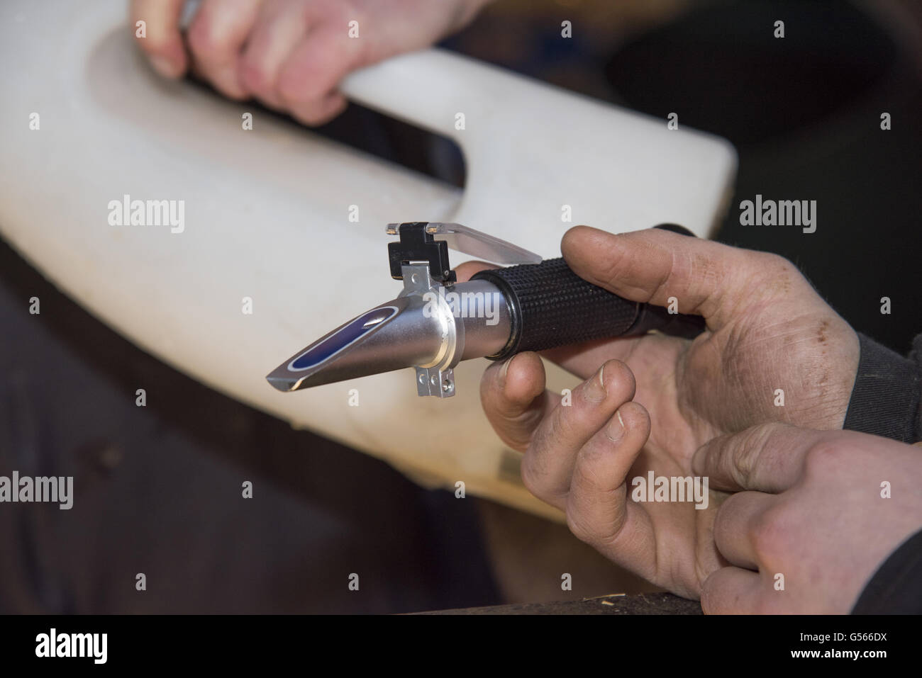 Refractometer used to monitor quality of colostrum in milk on dairy farm, Shropshire, England, February Stock Photo