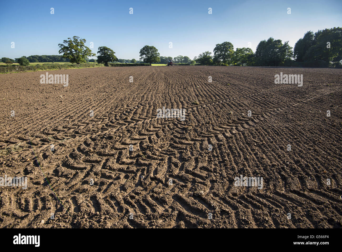Seedbed with tyre tracks, McCormick MTX110 tractor with Opico seed drill and grass harrow in distance, drilling grass and clover mixture in cultivated field, Cheshire, England, September Stock Photo