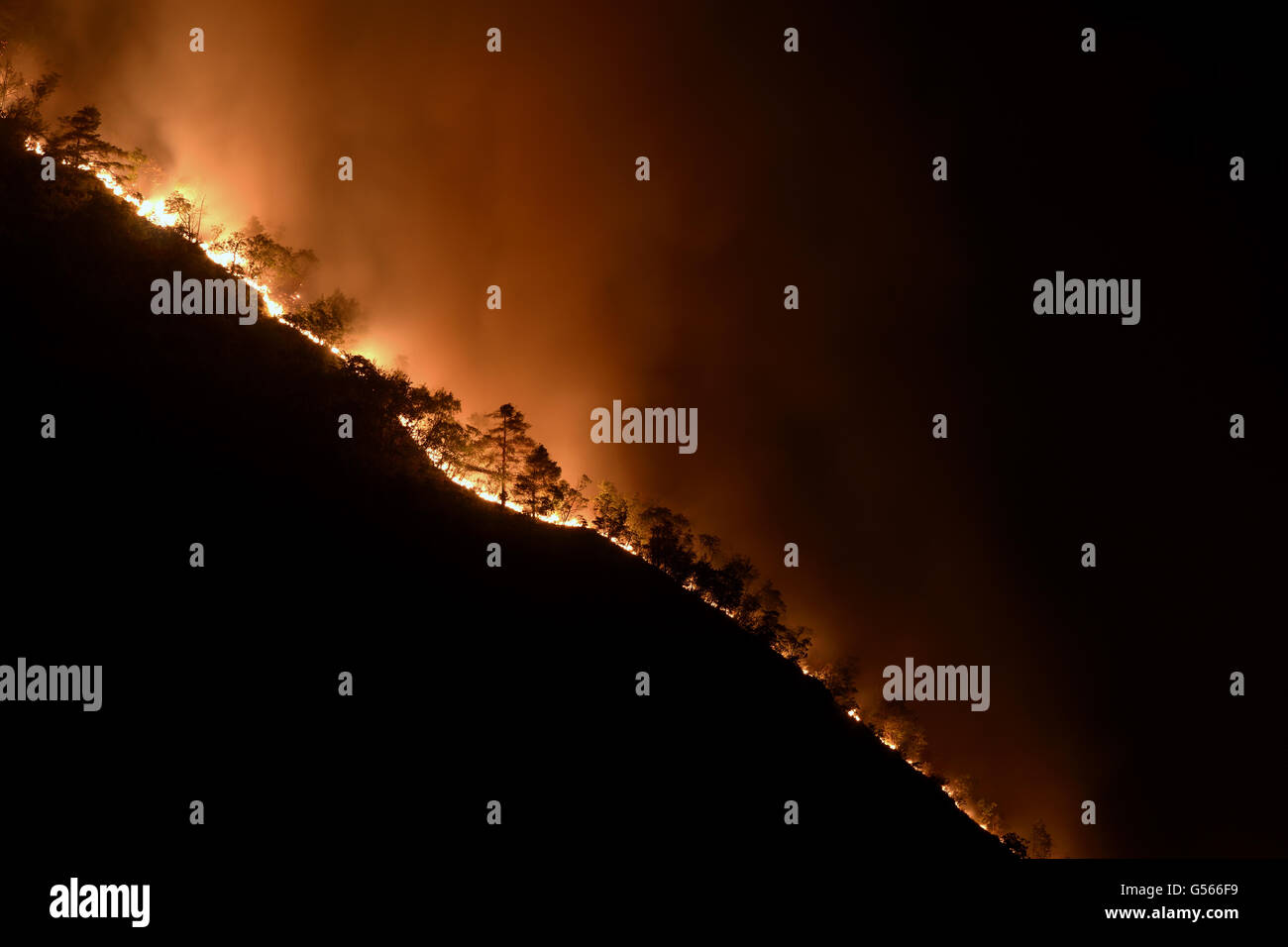Forest fire at night, Italian Alps, Italy, August Stock Photo