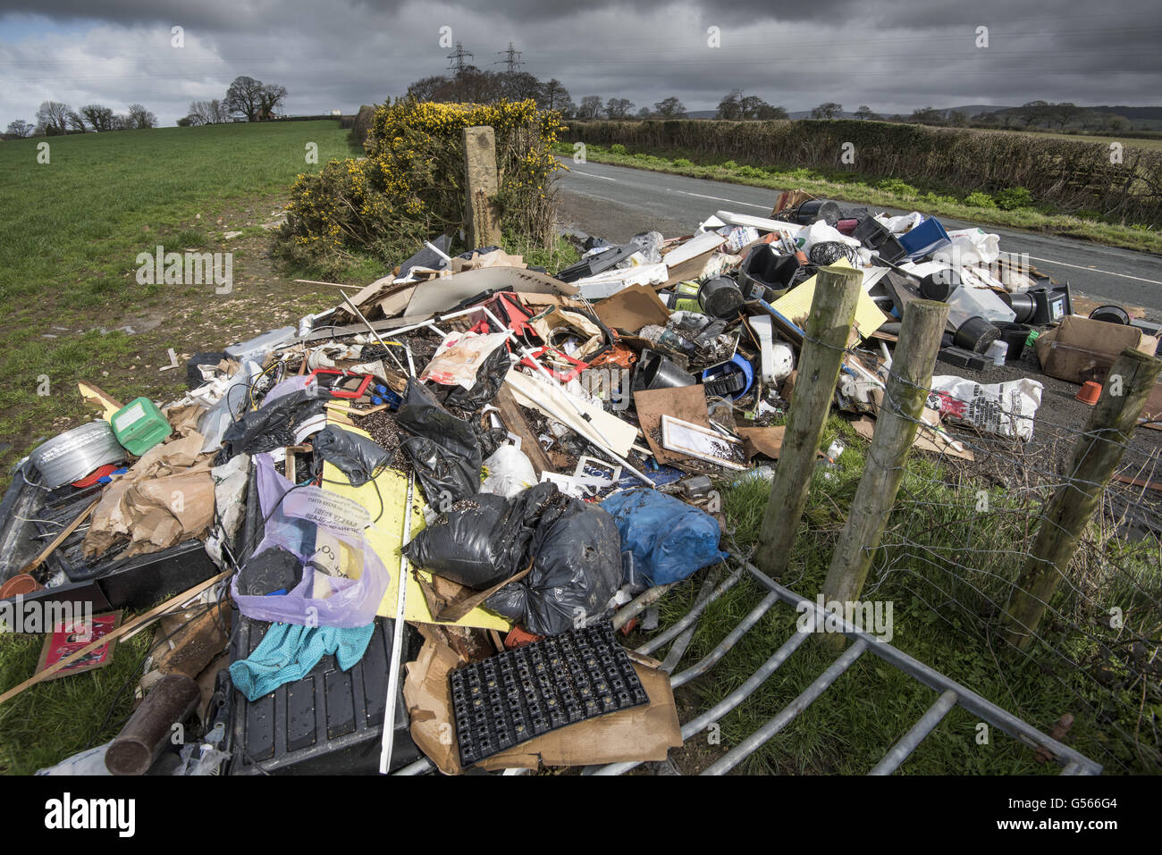 Lorry load of rubbish fly-tipped in farm gateway, Inglewhite, Preston, Lancashire, England, April Stock Photo