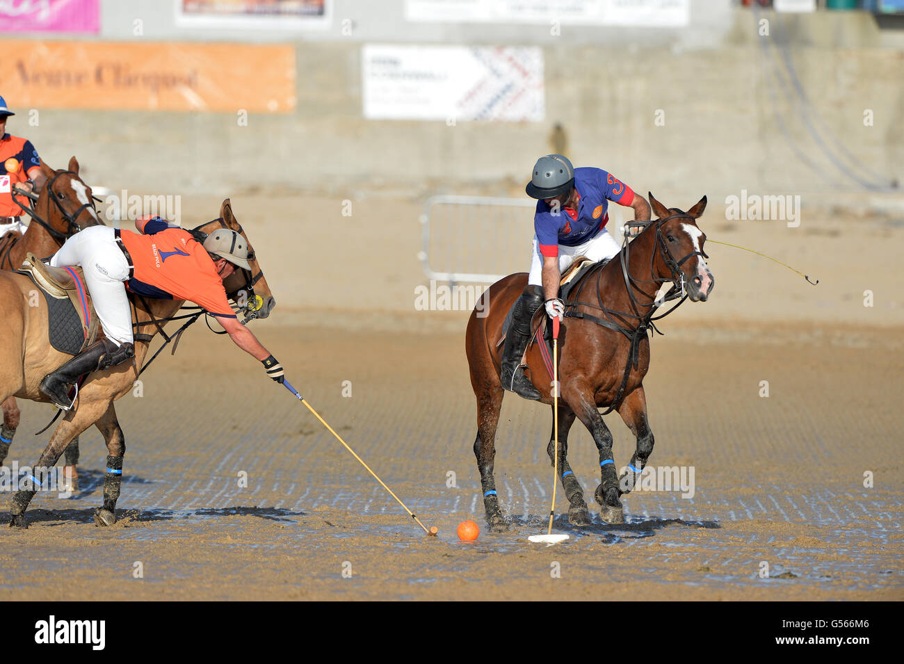 Beach Trip Shep Polo main image 0