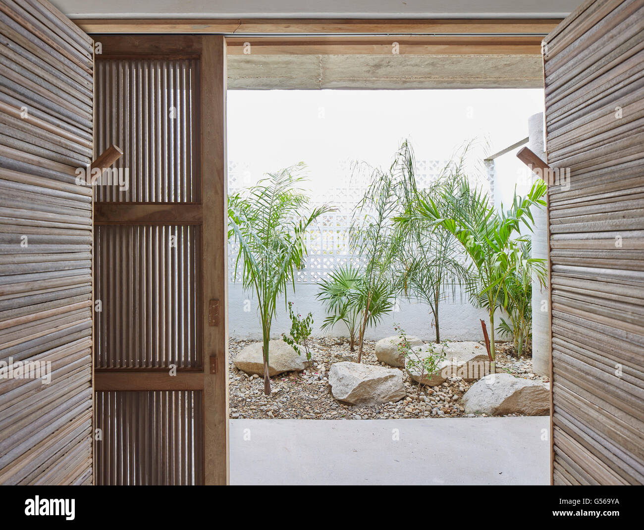 Plants outside lower level bathroom. Casa Cal, Puerto Escondido, Mexico. Architect: BAAQ, 2015. Stock Photo