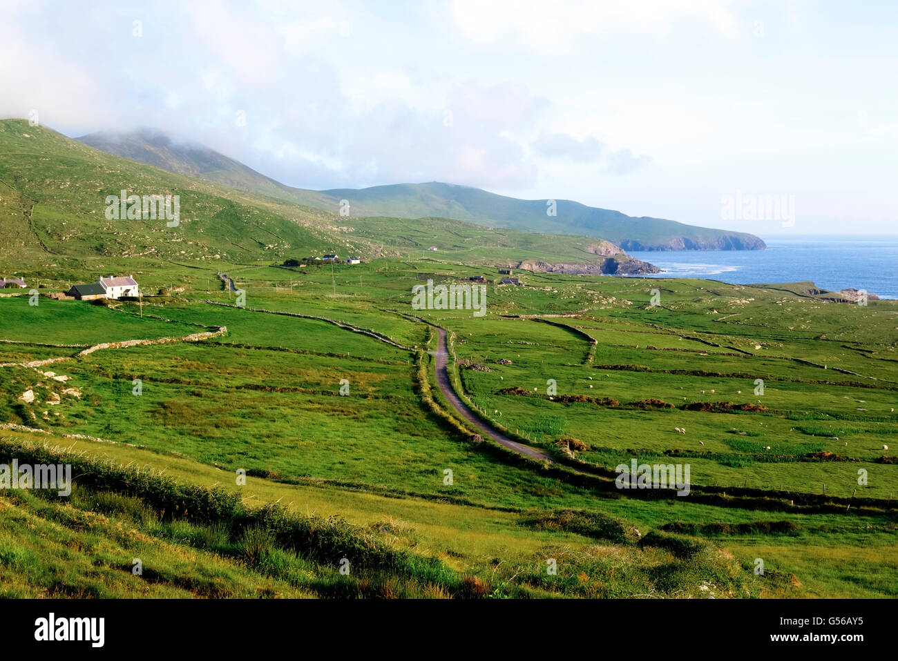 Skellig Ring, Ring of Kerry, County Kerry, Ireland Stock Photo