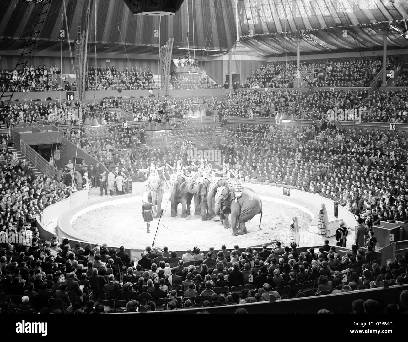 Six thousand children aged from 10 to 14 years who had never seen a circus before, at Olympia, London, to watch the final dress rehearsal of the Bertram Mills Circus, as guests of Cyril and Bernard Mills. The children included contingents from schools for physically handicapped, orphanages, homes and missions. Stock Photo