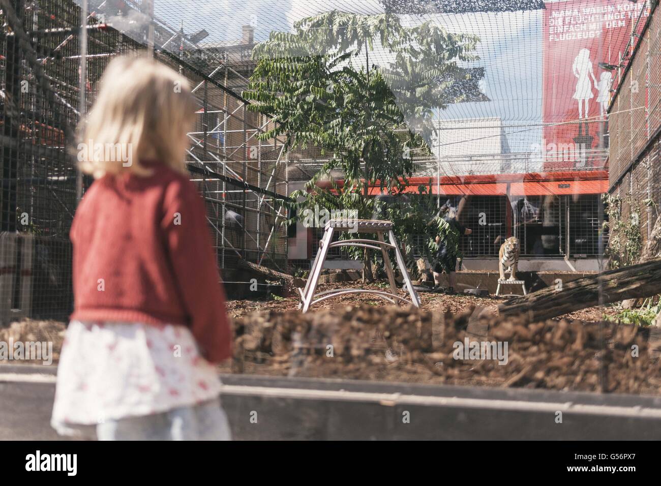 Berlin, Berlin, Germany. 21st June, 2016. A girl looking at on of the four tigers. The political art group 'Center for Political Beauty' (Zentrum fÃ¼r Politische SchÃ¶nheit, ZPS) sets up Roman-style arena for refugees to be devoured by tigers in outside the Maxim Gorki theater in Berlin. © Jan Scheunert/ZUMA Wire/Alamy Live News Stock Photo