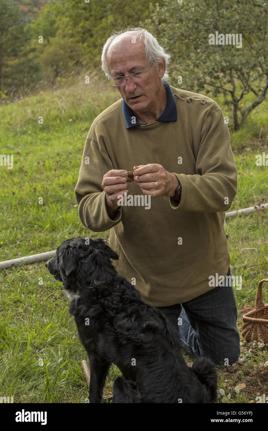 Perigord Truffle (Tuber melanosporum) truffle farm, farmer holding