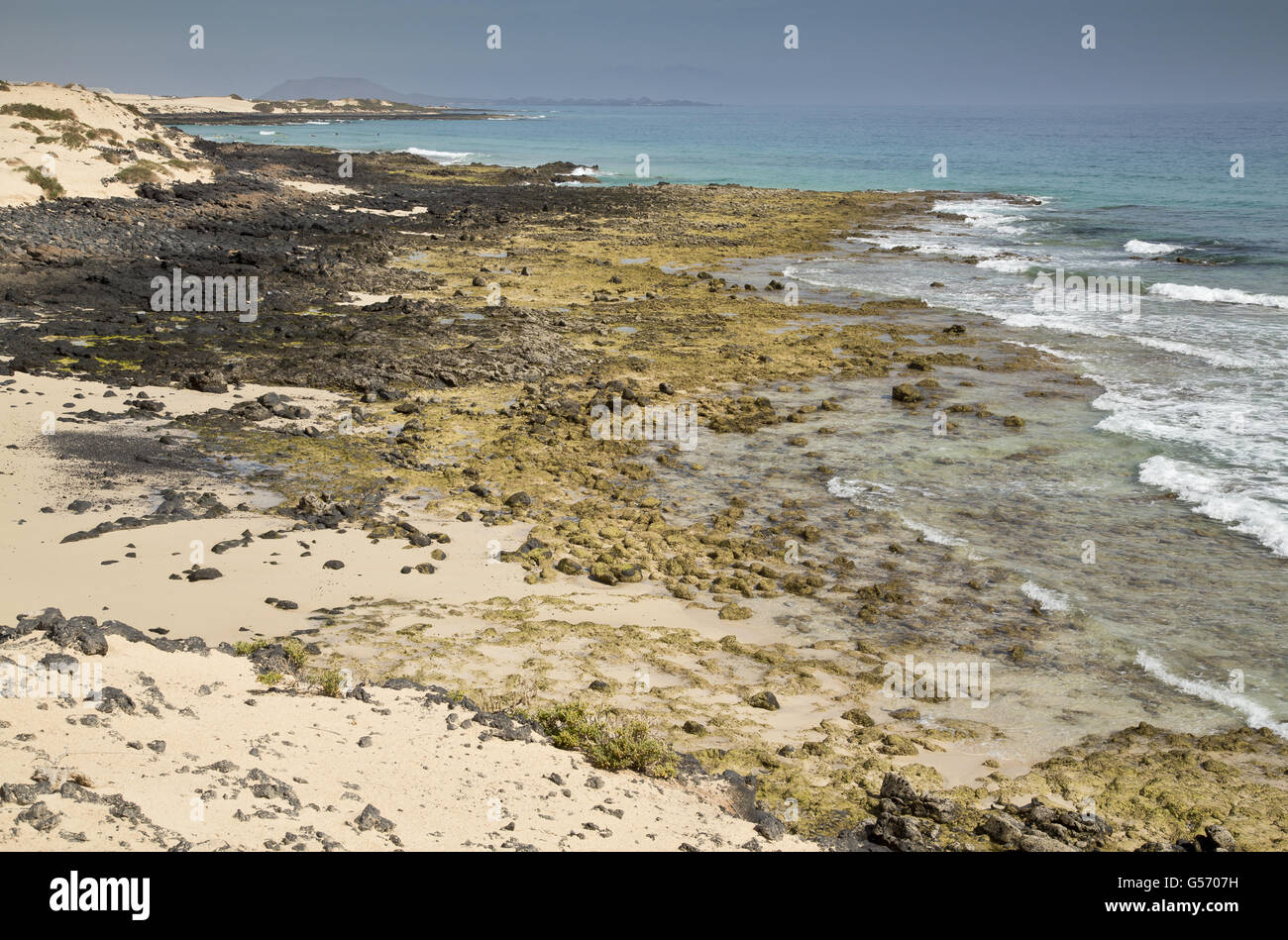 View of beach and coastline, Parque Natural de las Dunas de Corralejo, Fuerteventura, Canary Islands, March Stock Photo