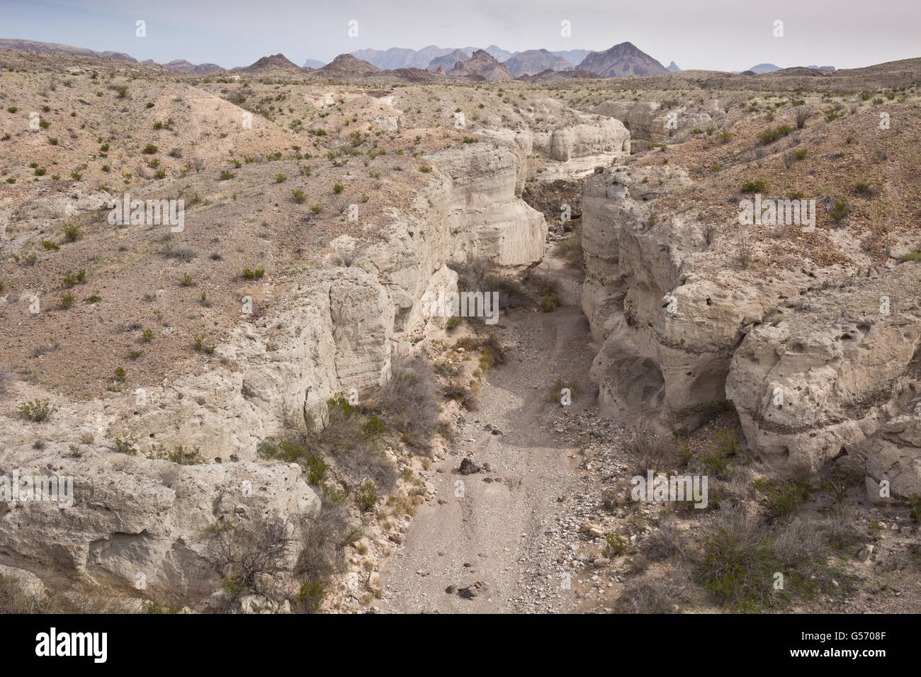 View of eroded rocks with layers of hardened volcanic ash, Tuff Canyon, Big Bend N.P., Chihuahuan Desert, Texas, U.S.A., February Stock Photo