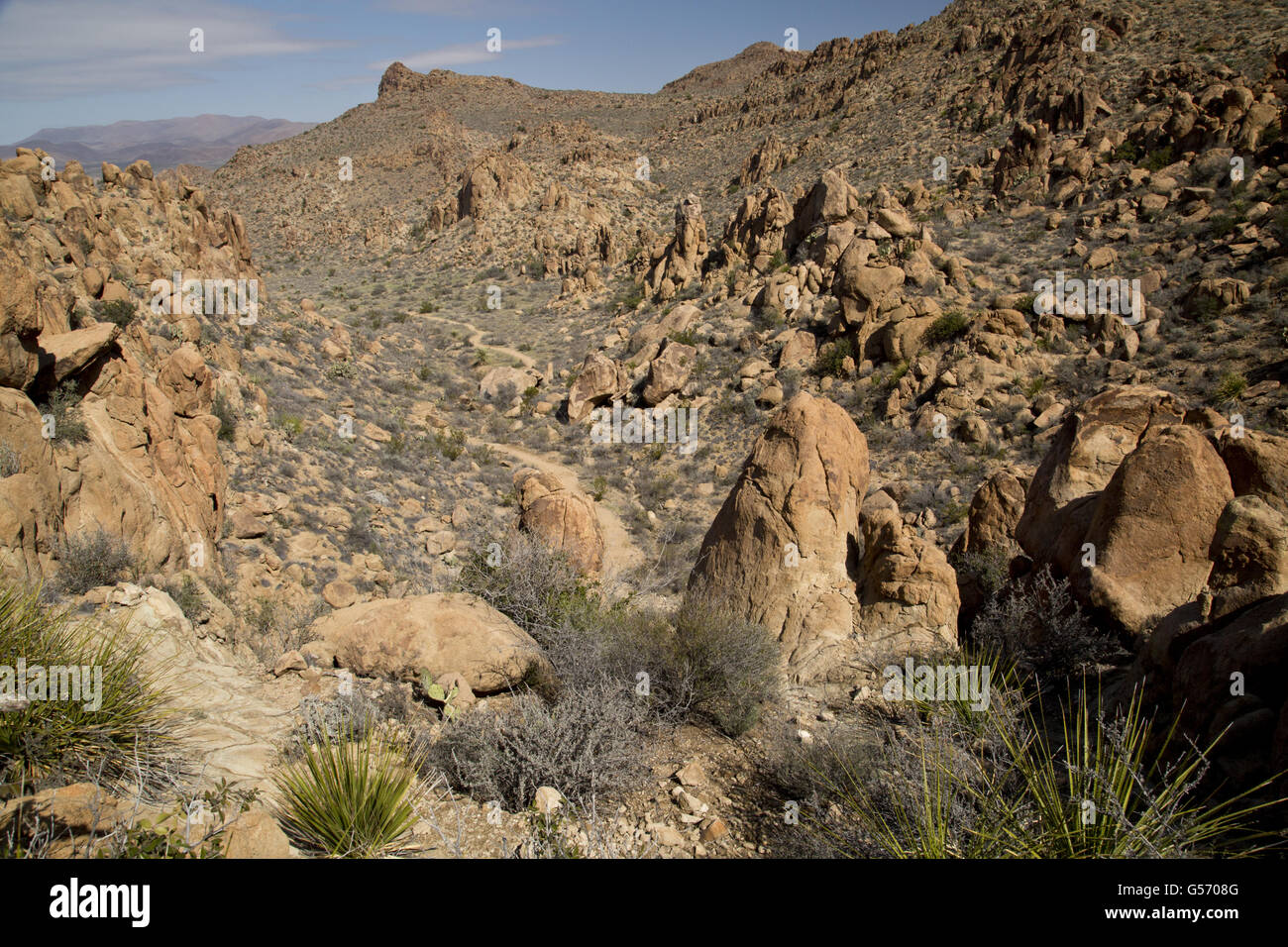 Valley and trail with eroded igneous rock and remains of laccolith, Grapevine Hills, Big Bend N.P., Chihuahuan Desert, Texas, U.S.A., February Stock Photo