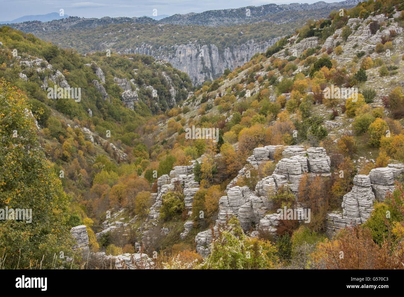 Limestone pinnacles and trees in autumn colour, above Kapesovo, Vikos-Aoos N.P., Zagori, Epirus, Greece, October Stock Photo