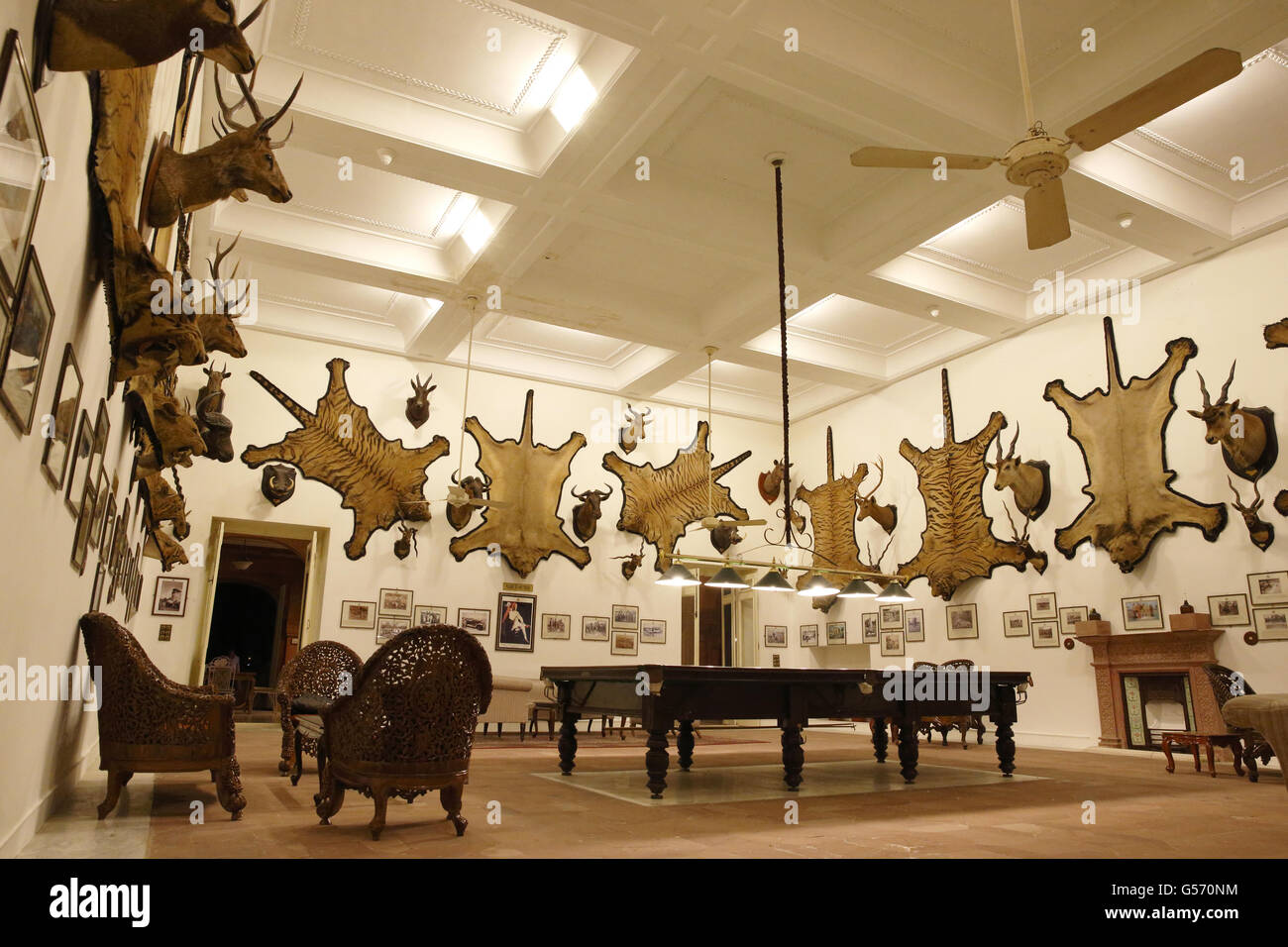 Hunting trophy room with tiger skins, lion skins and mounted deer and antelope heads on walls, The Trophy Room, Laxmi Niwas Palace, Bikaner, Thar Desert, Rajasthan, India, February Stock Photo