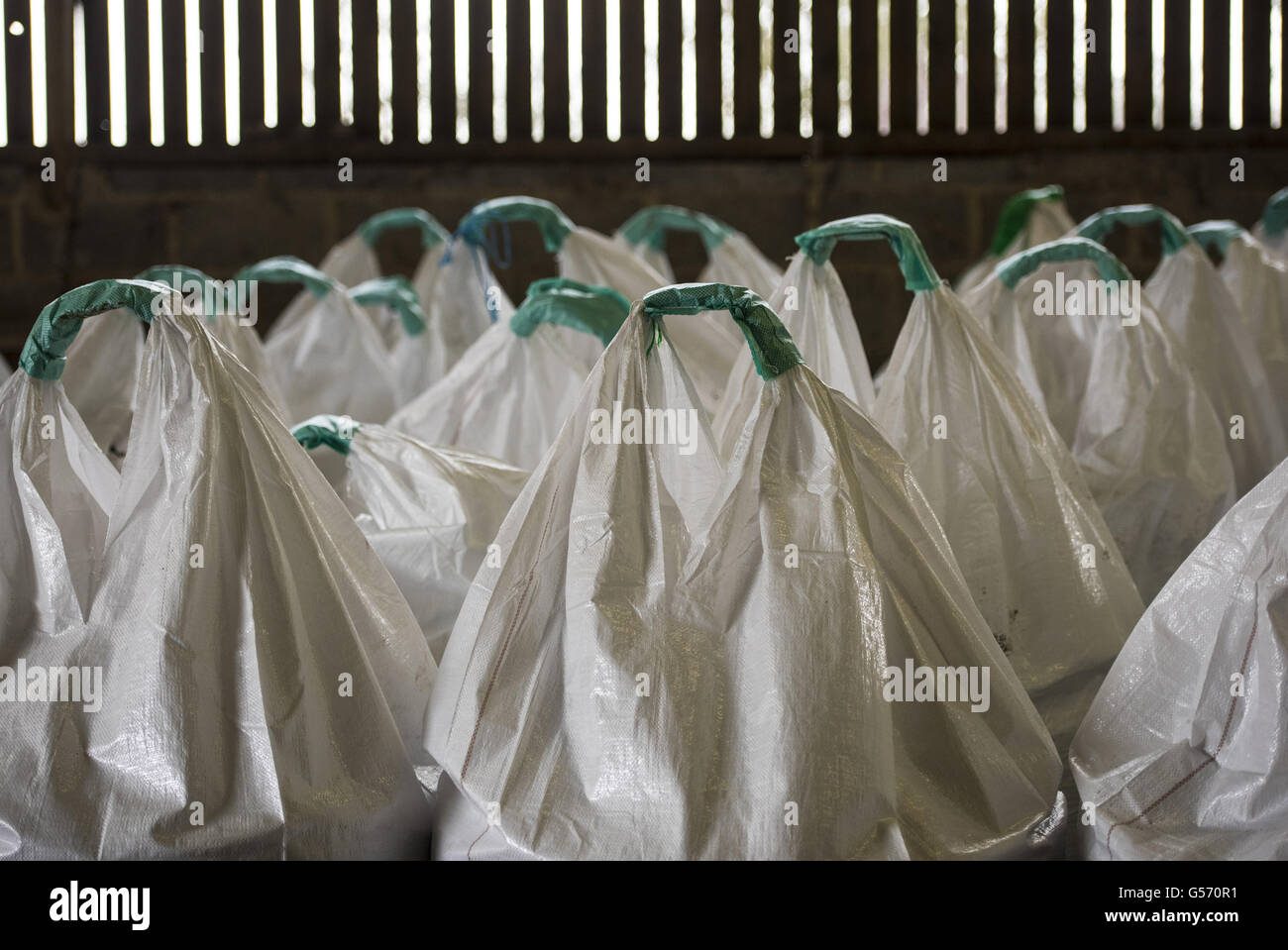 Fertiliser bags in farm store, North Yorkshire, England, January Stock