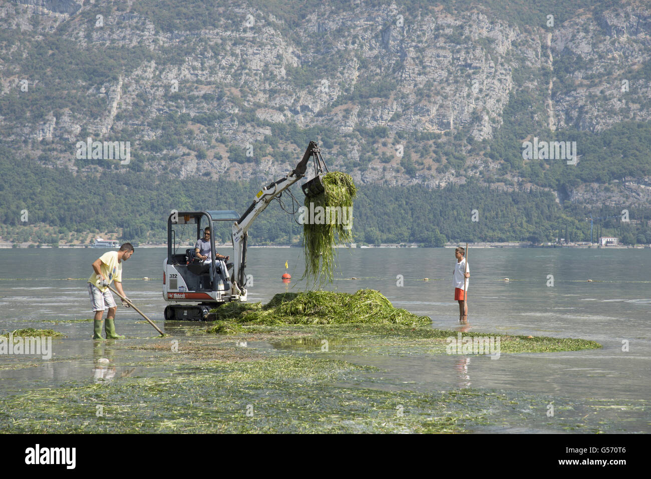 Clearing weed from lake shore near tourist complex, using Bobcat 322, Lago d'Iseo, Val Camonica, Central Alps, Brescia, Lombardy, Italy, July Stock Photo
