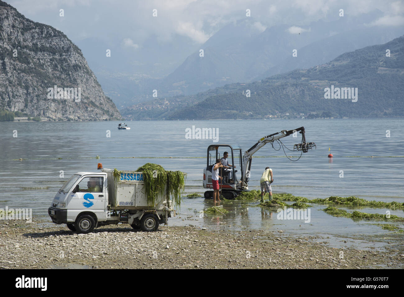 Clearing weed from lake shore near tourist complex, using Bobcat 322 and tipper truck, Lago d'Iseo, Val Camonica, Central Alps, Stock Photo