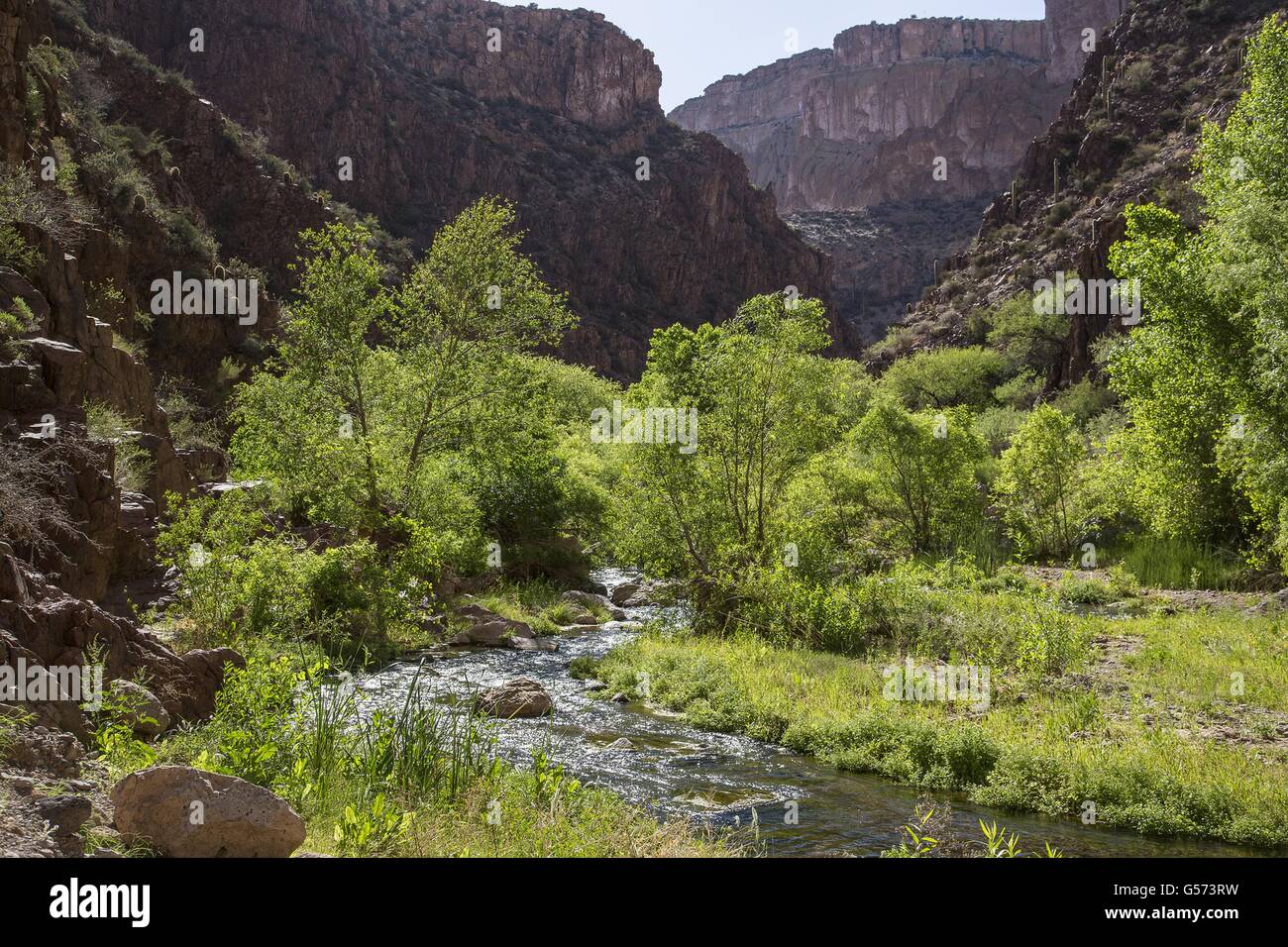 The Aravaipa Creek flows down the 11mile long Aravaipa Canyon
