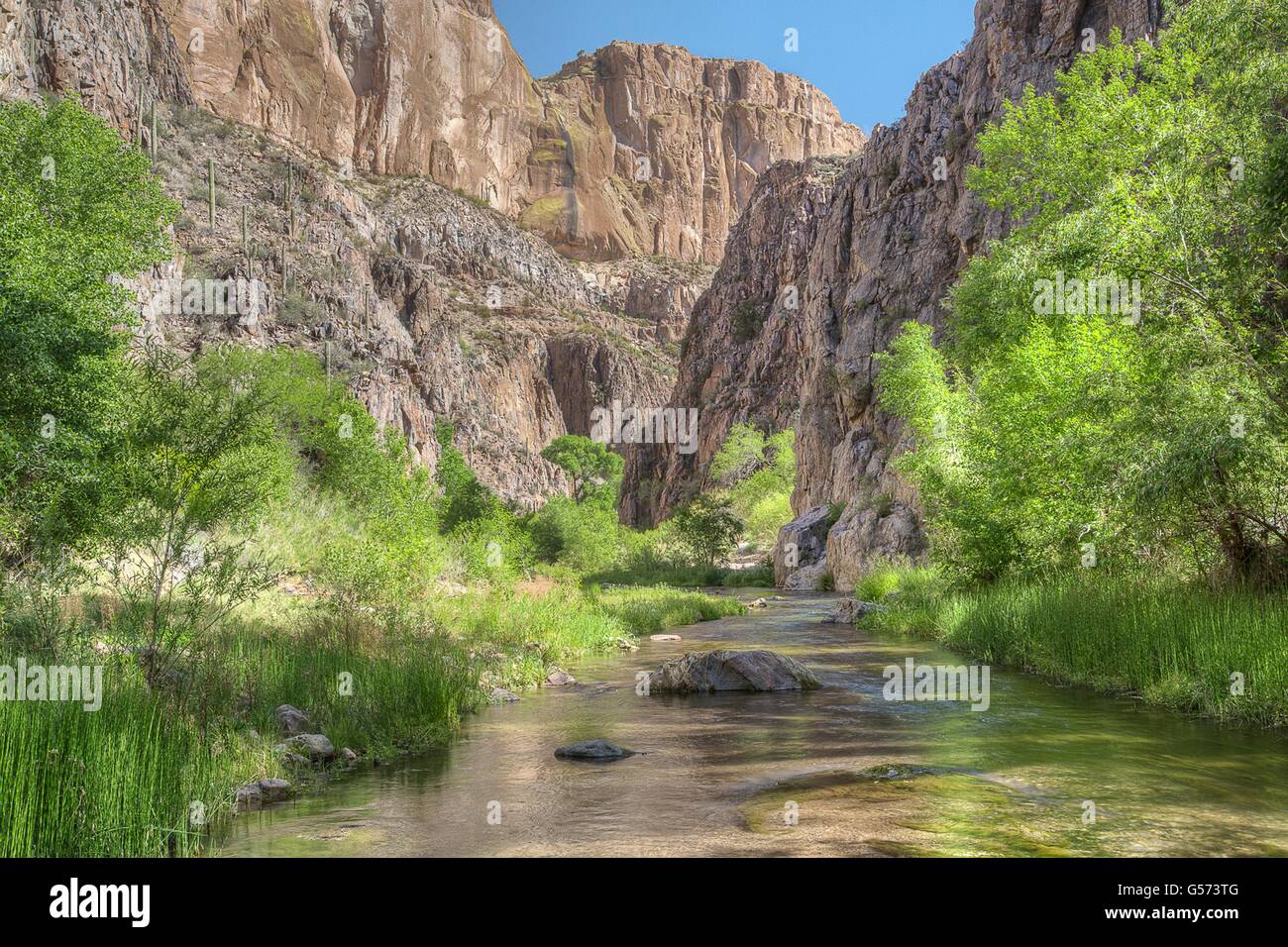 The Aravaipa Creek flows down the 11mile long Aravaipa Canyon